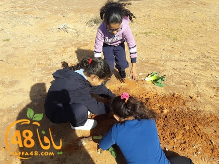 zr3 7san 3arafa (16).jpg